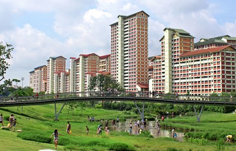 הדשא בסינגפור ירוק יותר?